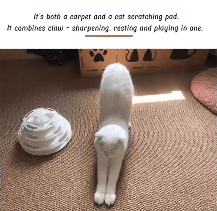 High Quality Area Rugs for Bedroom Living Room Carpet Soft Indoor Floor Rug for Kids Girls Boys Home Baby Floor Carpet