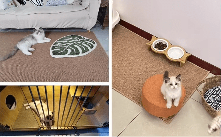 High Quality Area Rugs for Bedroom Living Room Carpet Soft Indoor Floor Rug for Kids Girls Boys Home Baby Floor Carpet