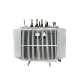 S22 Type Energy Efficiency Primary Oil Immersed Transformer